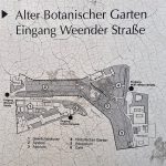 Alter_Botanischer_Garten_Goetteingen_5720