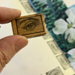 Kleine Freuden.... Kleine Freuden_August25_0960