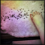 12von12Jan26_003979 2